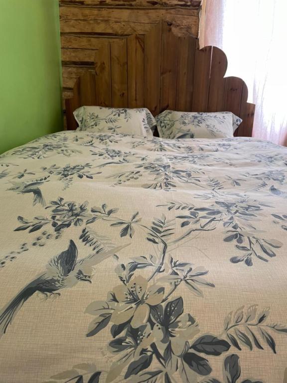 Stebuklas VNO Esterno foto