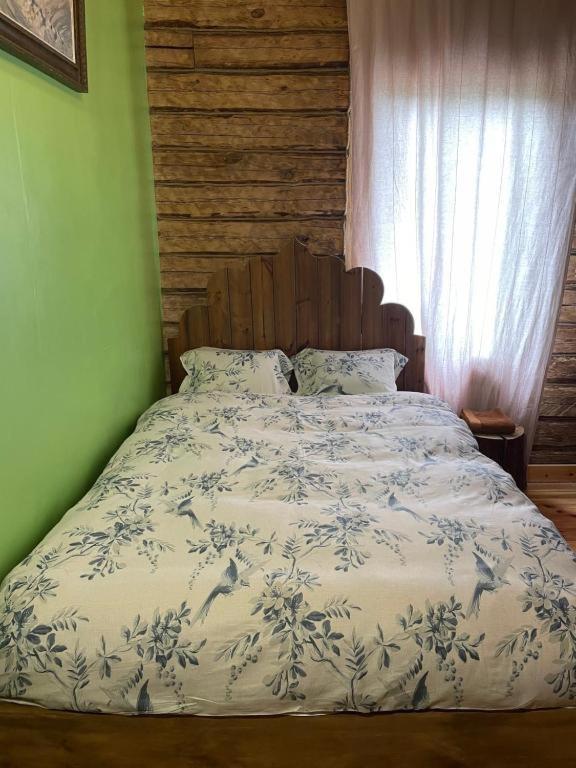 Stebuklas VNO Esterno foto